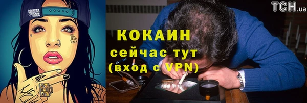 альфа пвп Елизово