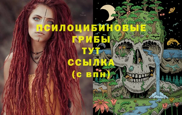 гидра Гусиноозёрск