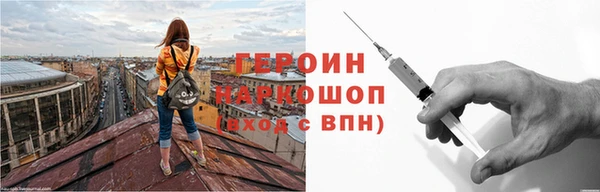 гидра Ельня