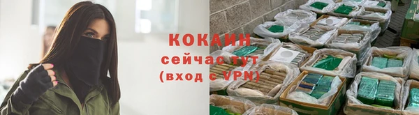 альфа пвп Елизово