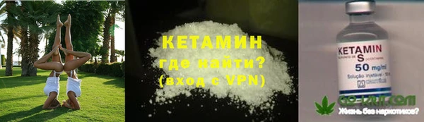 гидра Ельня