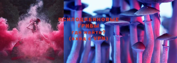 стаф Дмитровск