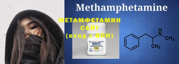 гидра Ельня
