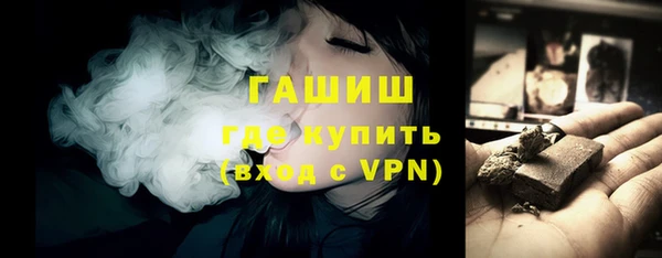 гидра Ельня