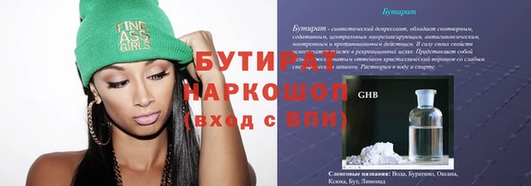 гидра Ельня