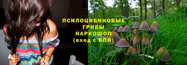 альфа пвп Елизово