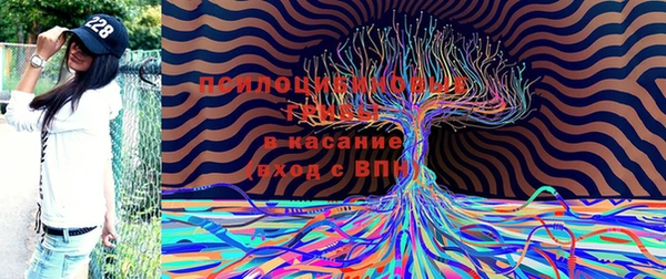 гидра Ельня