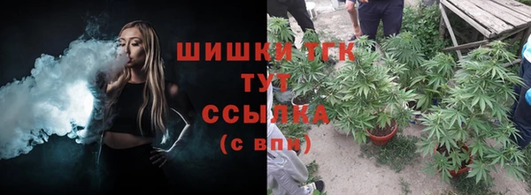 гидра Ельня