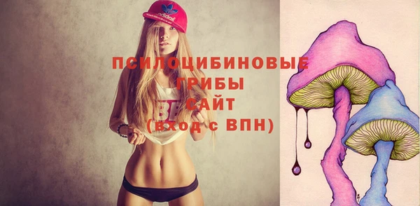 альфа пвп Елизово