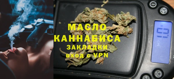 гидра Ельня